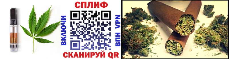 darknet какой сайт  купить  цена  Приморск  Печенье с ТГК конопля 