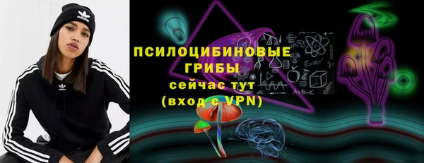 тгк Дмитровск