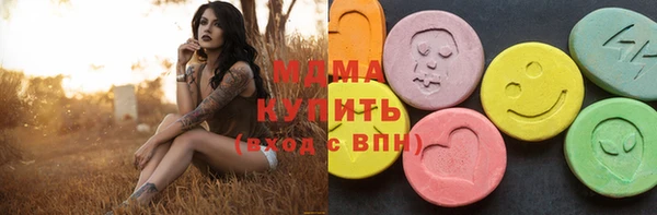 индика Осинники