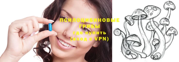ГАЛЛЮЦИНОГЕННЫЕ ГРИБЫ Дмитров