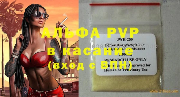 индика Осинники