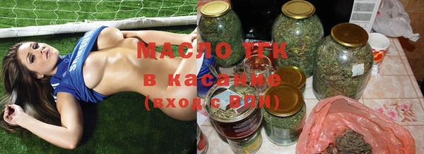 индика Осинники
