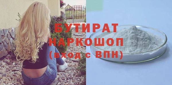 индика Осинники