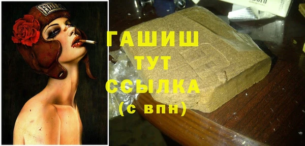 индика Осинники