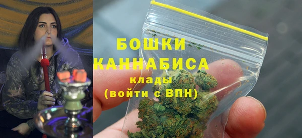 тгк Дмитровск
