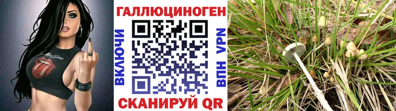 Галлюциногенные грибы MAGIC MUSHROOMS  как найти закладки  Приморск 